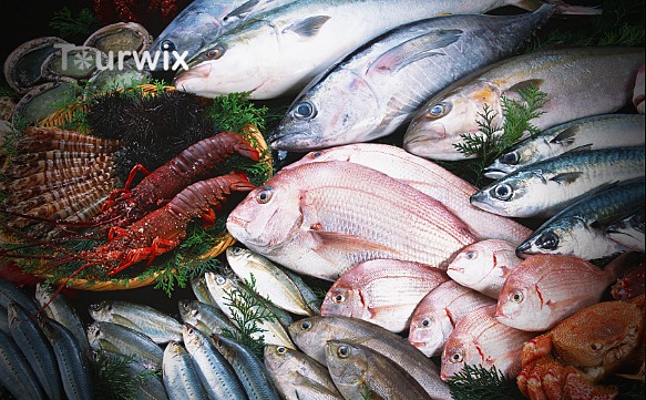 Fischkonsum je nach Jahreszeit: Gesunde und leckere Auswahl