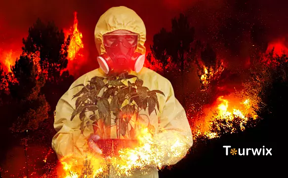 Лесные Пожары В Турции