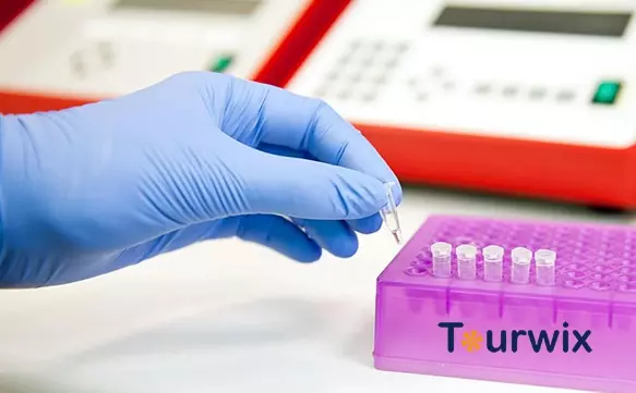 Wann ist PCR Test gültig und wann bekommt man das Ergebnis?