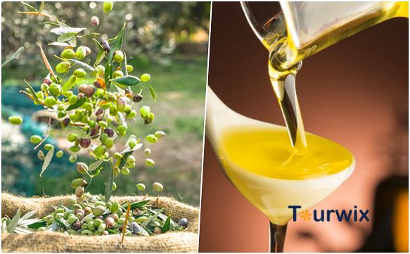 Olive oil against diseases