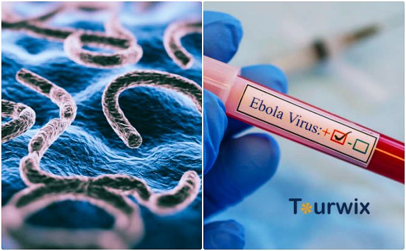 Was ist das Ebola-Virus? Was sind die Symptome und Behandlungen?
