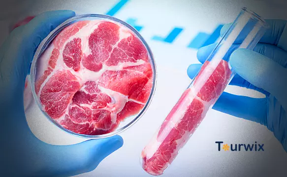 Food of the future Artificial meat