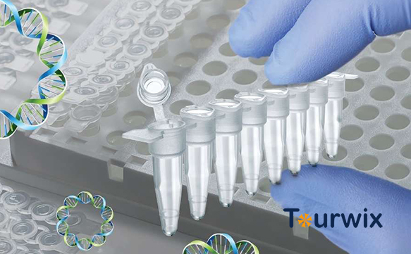 PCR testi acı