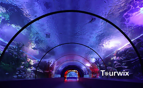 Antalya Aquarium (Private Tour)