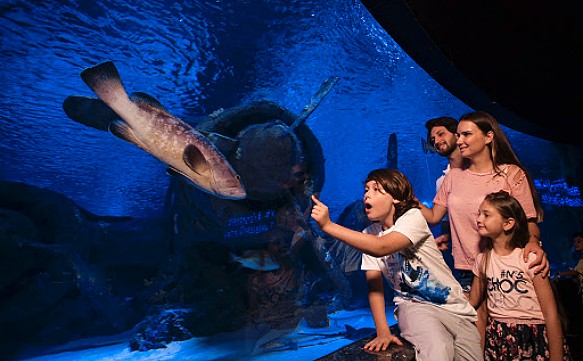 Antalya Aquarium (Gruppenreise)